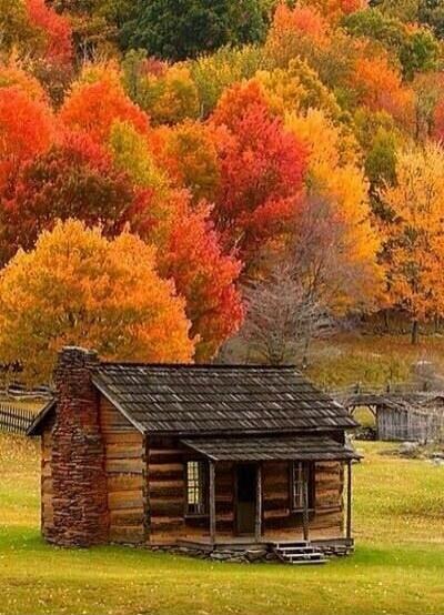 A rustic log cabin in a vibrant autumn forest.