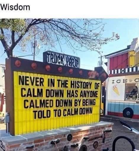 Wisdom. NEVER IN THE HISTORY OF CALM DOWN HAS ANYONE CALMED DOWN BY BEING TOLD TO CALM DOWN.
