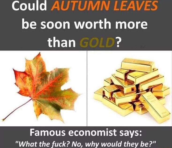 V 0 be soon worth more than Famous economist says What the fuck No why would they be