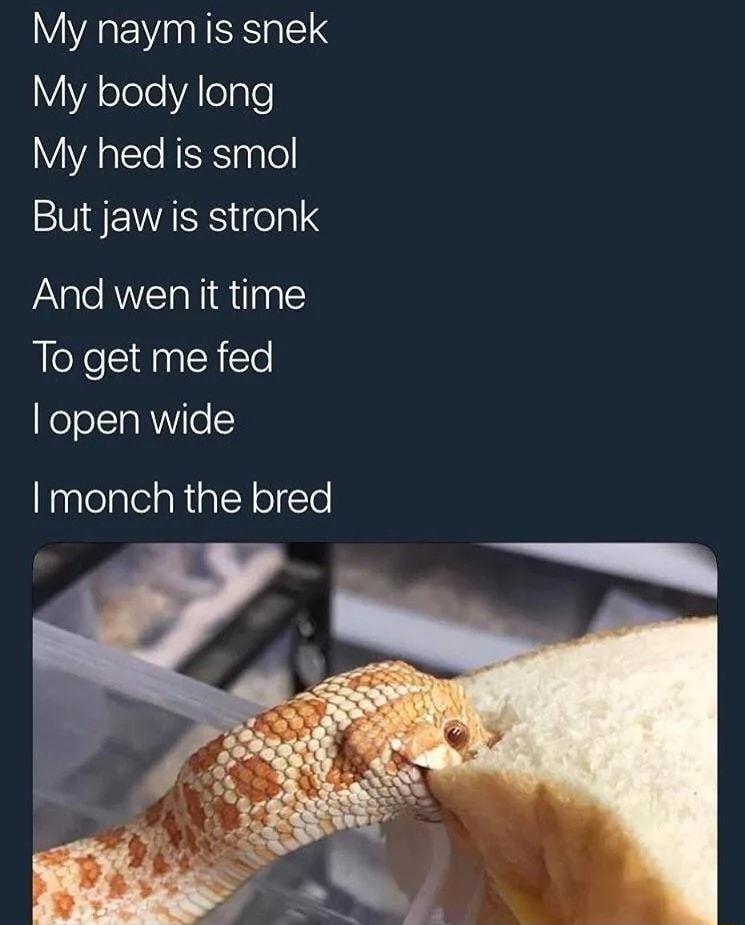 My naym is snek VI olele VA leqle My hed is smol EUSETASES ela And wen it time To get me fed open wide pglelalelaRa TN o le