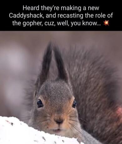 Heard they're making a new Caddyshack, and recasting the role of the gopher, cuz, well, you know...