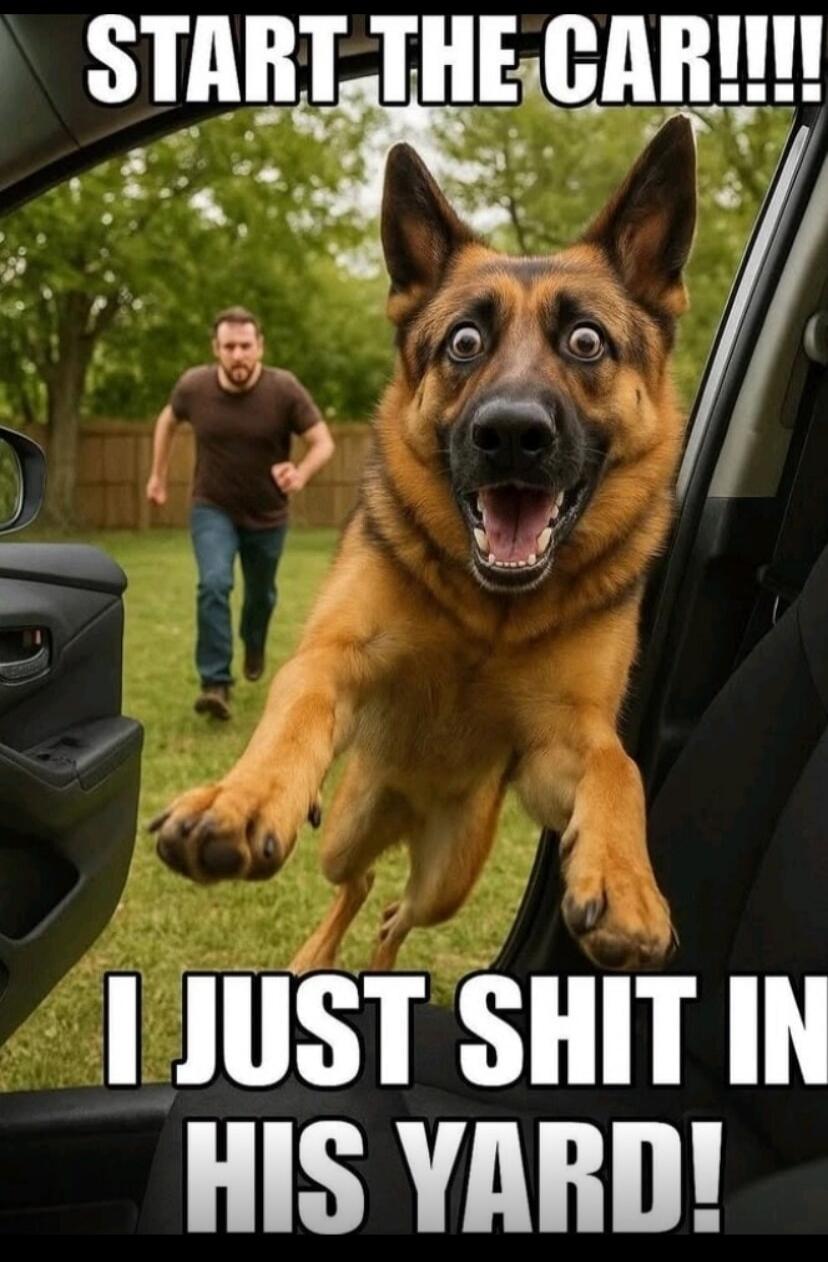 START THE CAR!!!! I JUST SHIT IN HIS YARD!