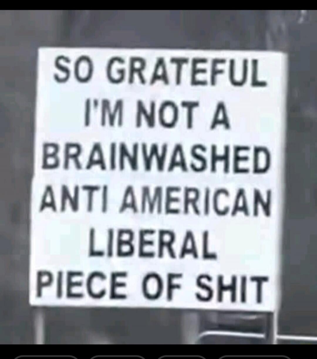 SO GRATEFUL I'M NOT A BRAINWASHED ANTI AMERICAN LIBERAL PIECE OF SHIT