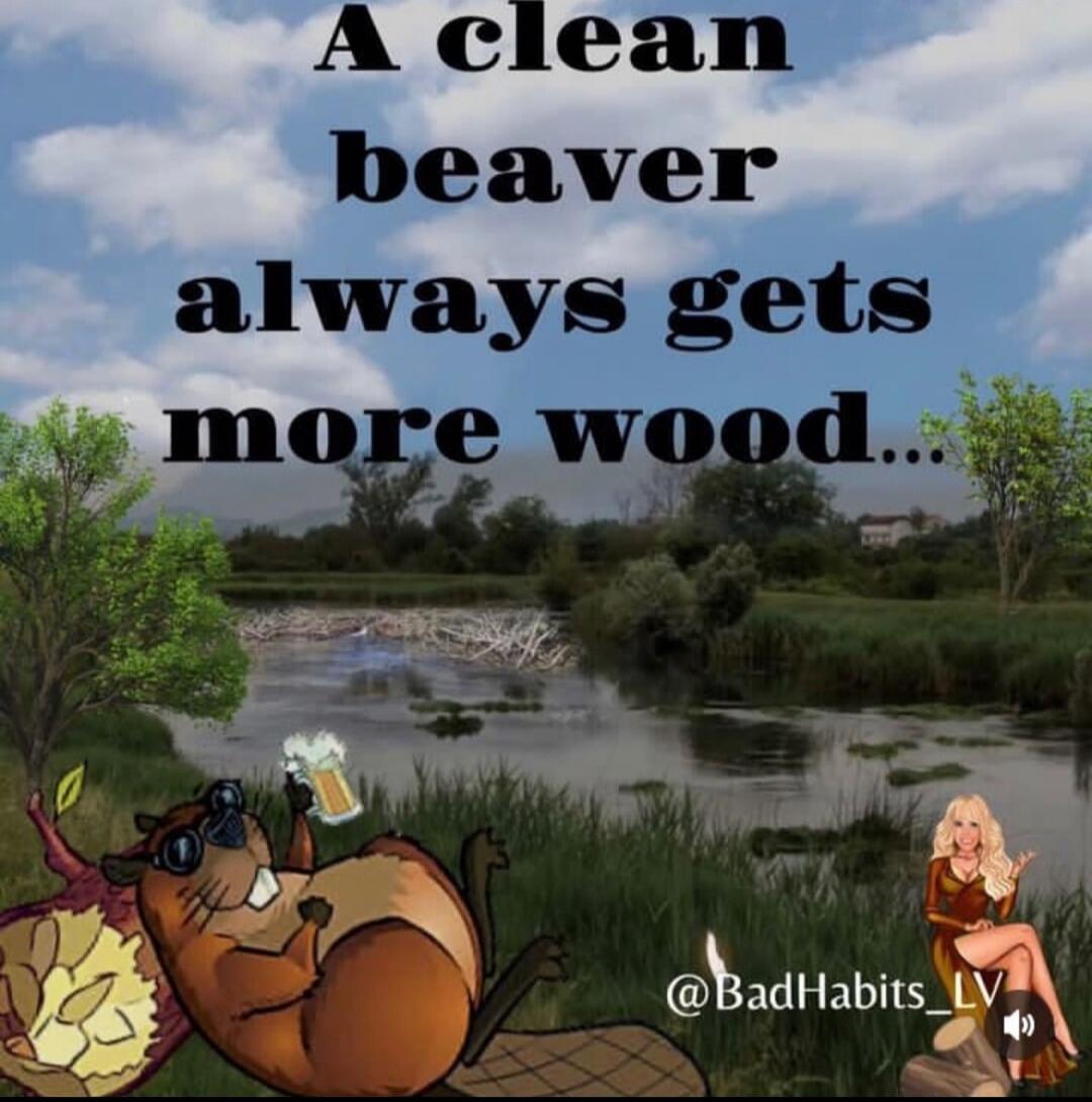 A clean beaver always gets more wood... @BadHabits_LV