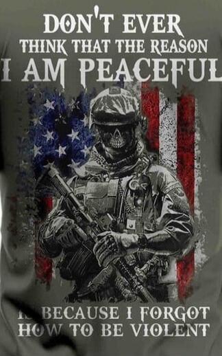 DON'T EVER THINK THAT THE REASON I AM PEACEFUL IS BECAUSE I FORGOT HOW TO BE VIOLENT