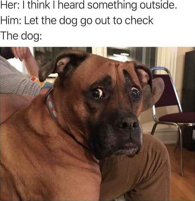 Her think heard something outside Him Let the dog go out to check The dog