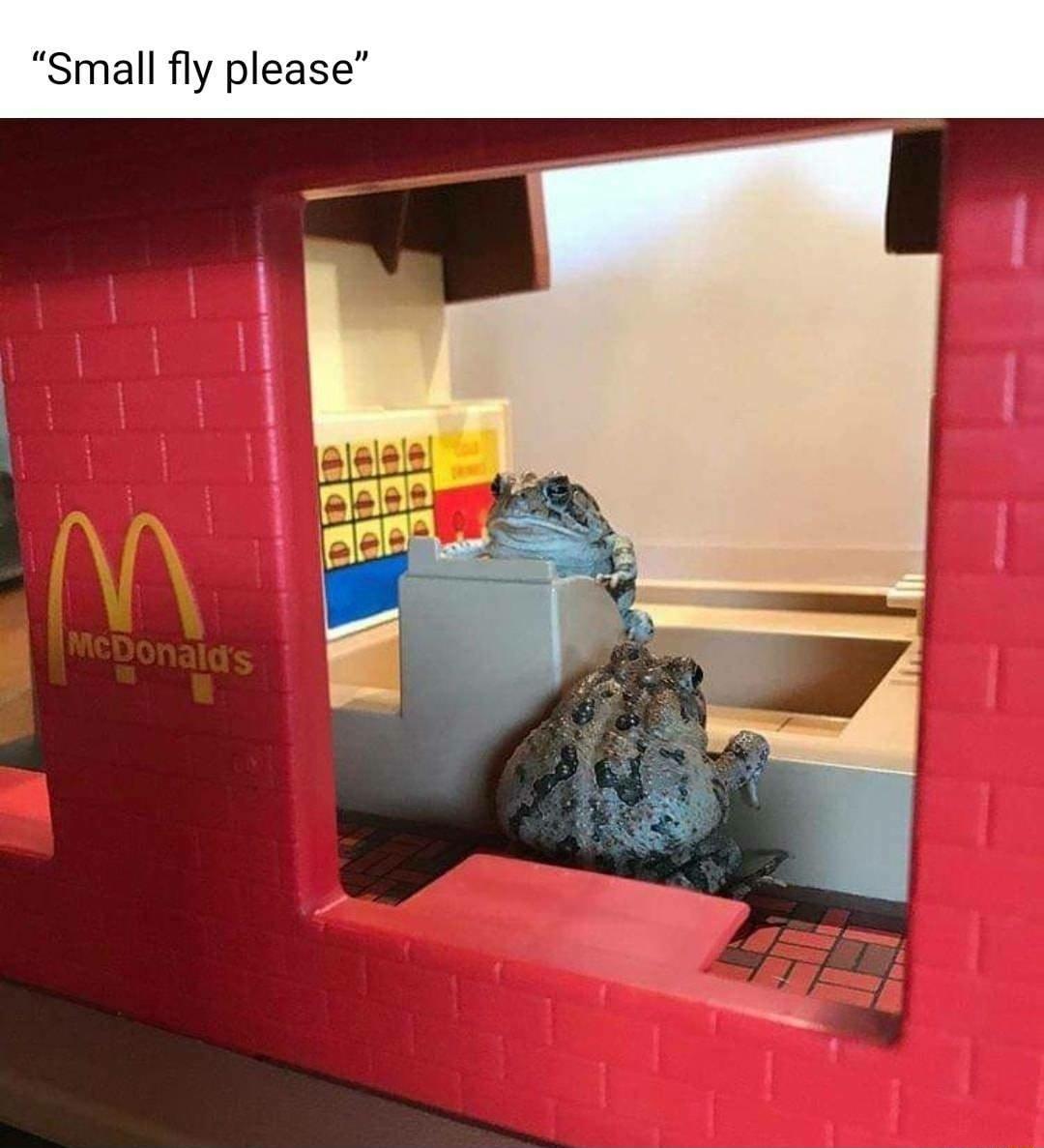 mall fly please