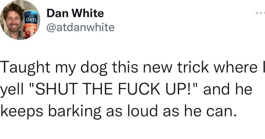 Dan White atdanwhite Taught my dog this new trick where yell SHUT THE FUCK UP and he keeps barking as loud as he can 340 PM 12822 Twitter Web App