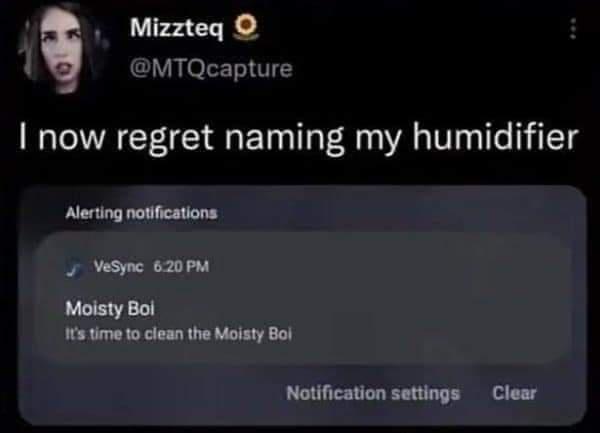 Mizzteq MTQcapture now regret naming my humidifier