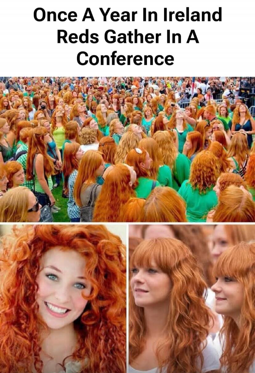 Once A Year In Ireland Reds Gather In A Conference