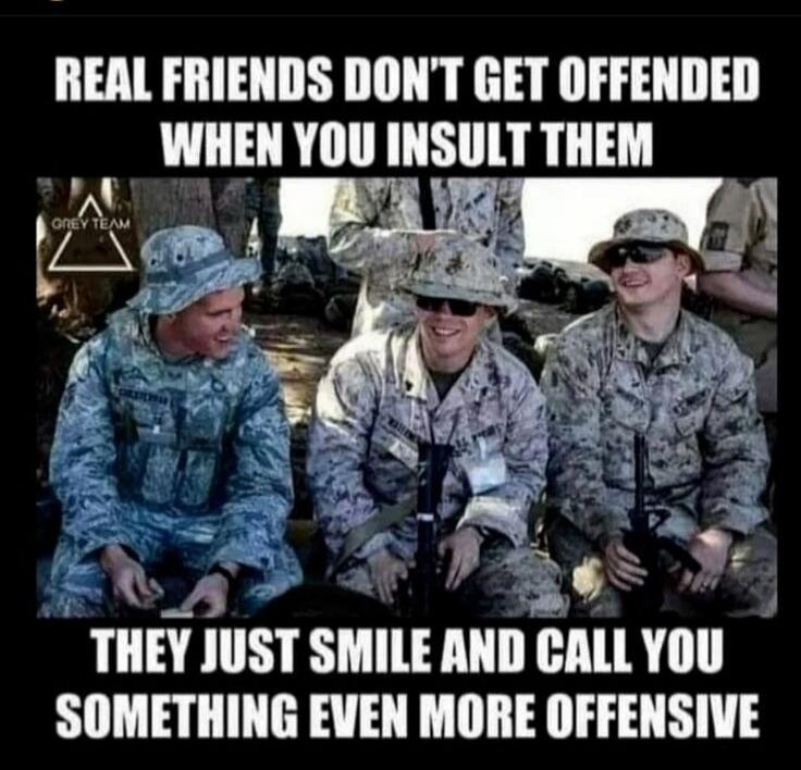 REAL FRIENDS DON'T GET OFFENDED WHEN YOU INSULT THEM THEY JUST SMILE AND CALL YOU SOMETHING EVEN MORE OFFENSIVE GREY TEAM