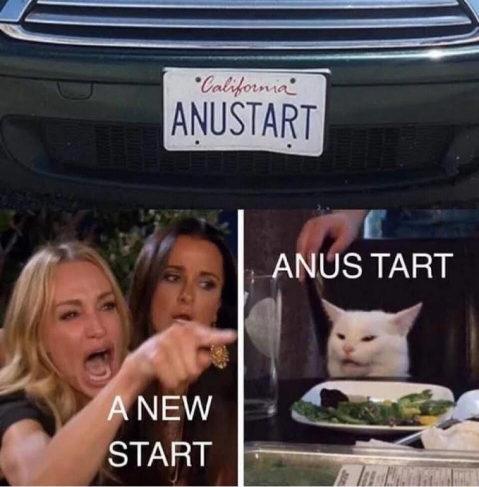 ANUSTART A NEW START ANUS TART