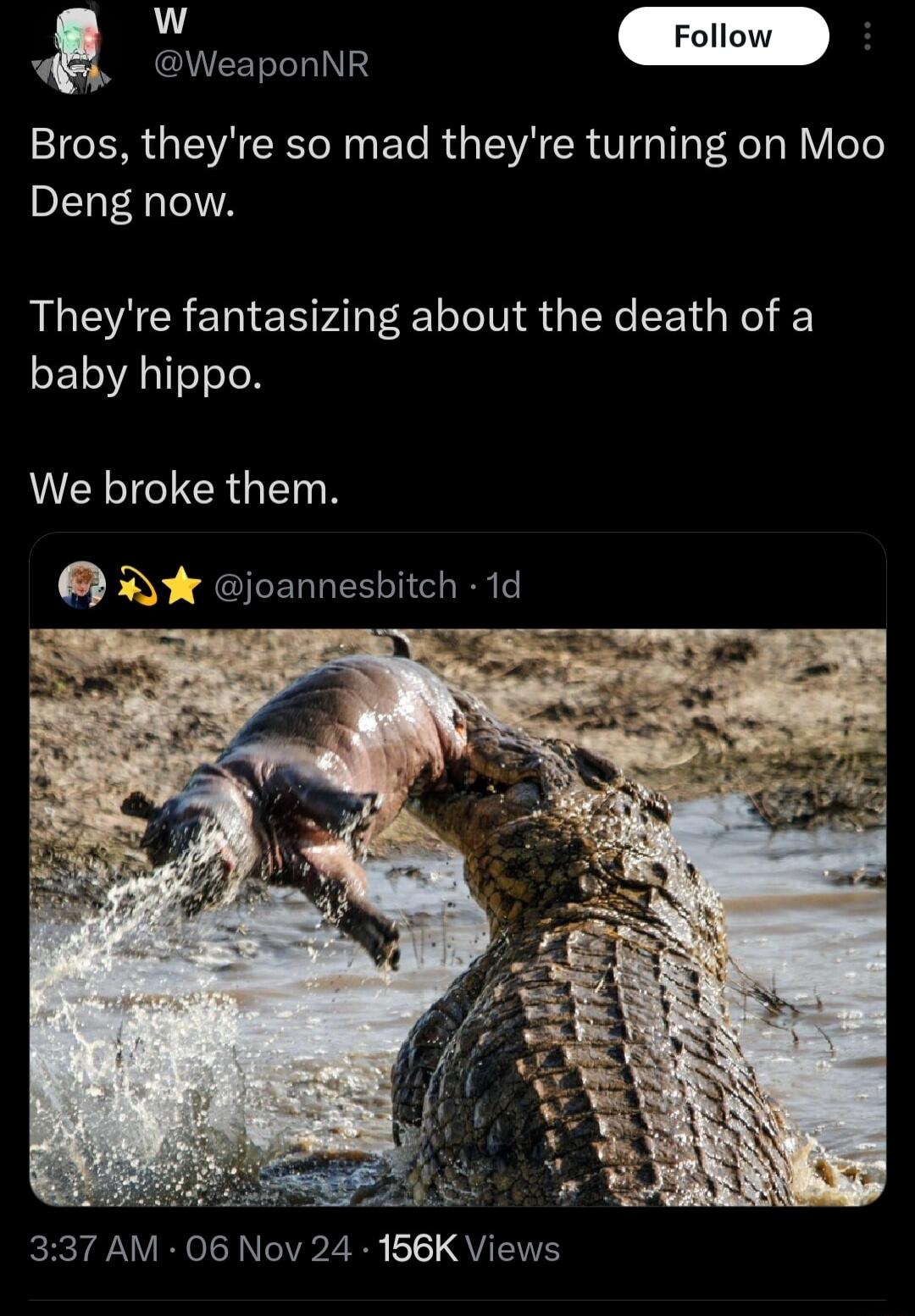 w Follow EWeaponR Bros theyre so mad theyre turning on Moo Deng now Theyre fantasizing about the death of a baby hippo ICEILCRGE joannesbitch 1d ky 2 4 337 AM 06 Nov 24 156K Views