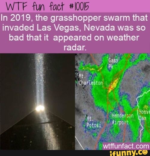 WTF fun fact I00b