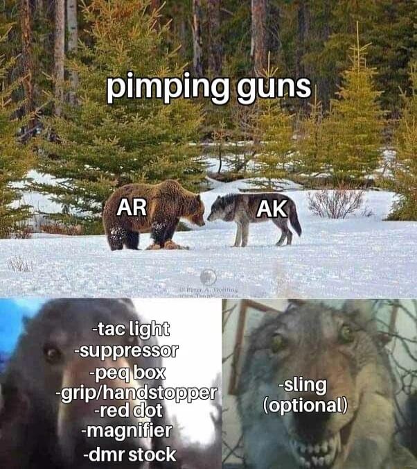 pimping guns taclighty suppressoi pegib gripha red Tl magnifier dmr stock