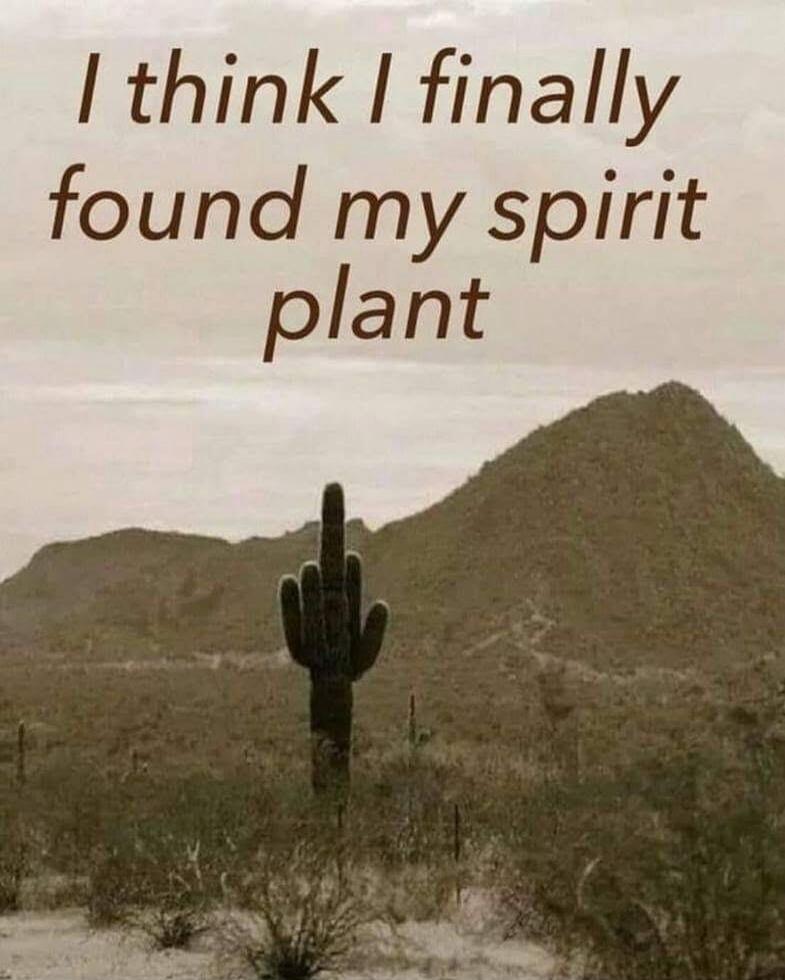 I think I finally found my spirit plant