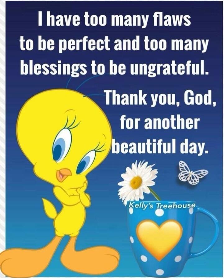 I have too many flaws to be perfect and too many blessings to be ungrateful. Thank you, God, for another beautiful day. Kelly's Treehouse.