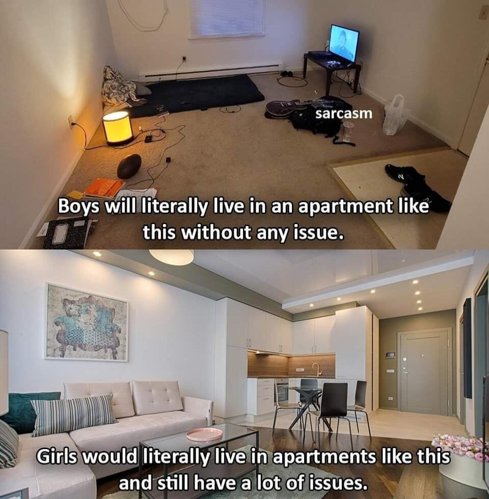 sarcasm g 7R Boys willlliterally live in an apartment like iy this without any issue H 3 aparments like this andstill have alot ofissues