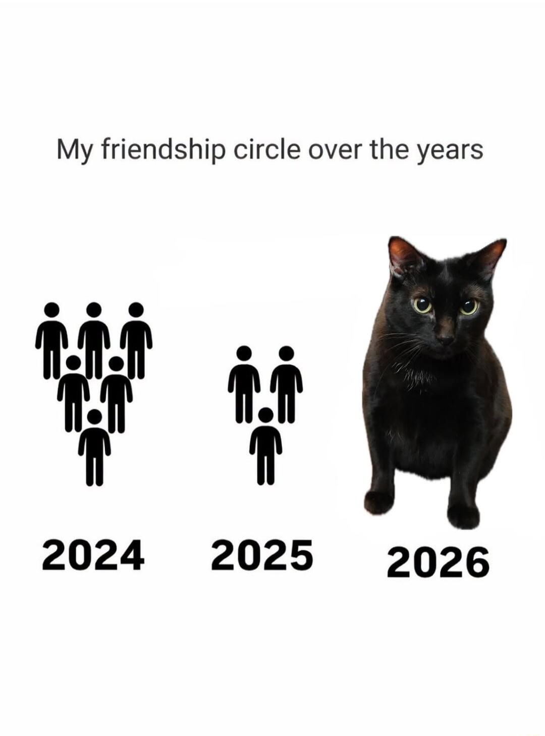 My friendship circle over the years 2024 2025 2026