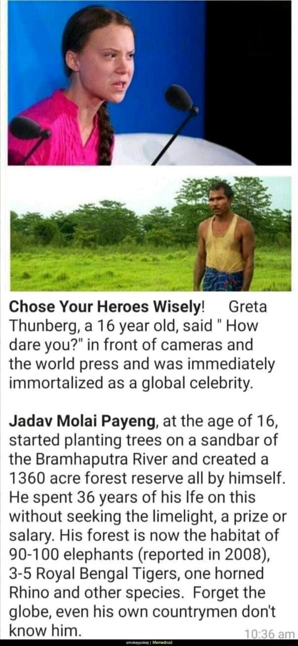 Chose Your Heroes Wisely Greta Thunberg a 16 year old said How dare you in front of cameras and the world press and was immediately immortalized as a global celebrity Jadav Molai Payeng at the age of 16 started planting trees on a sandbar of the Bramhaputra River and created a 1360 acre forest reserve all by himself He spent 36 years of his Ife on this without seeking the limelight a prize or sala