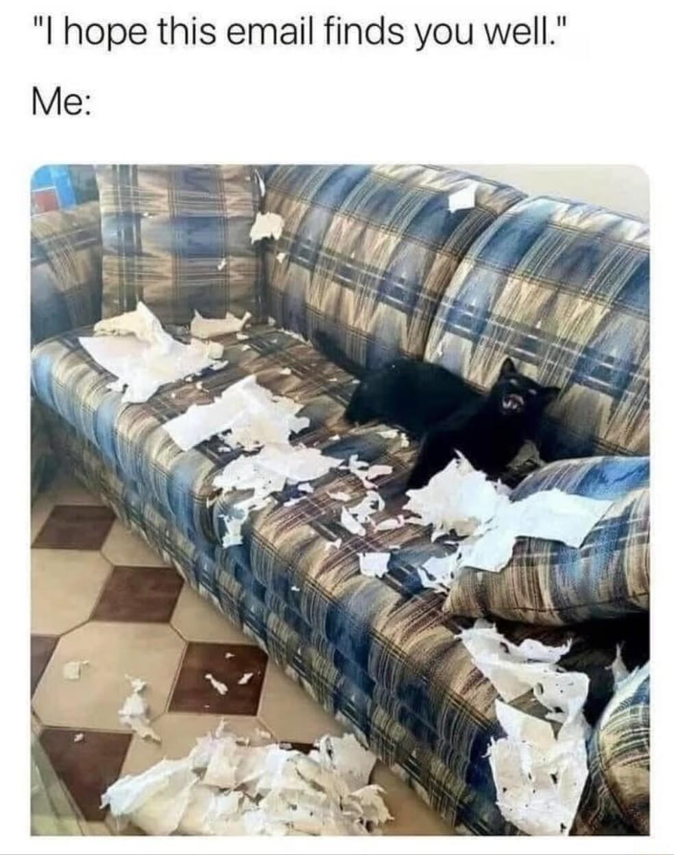 hope this email finds you well