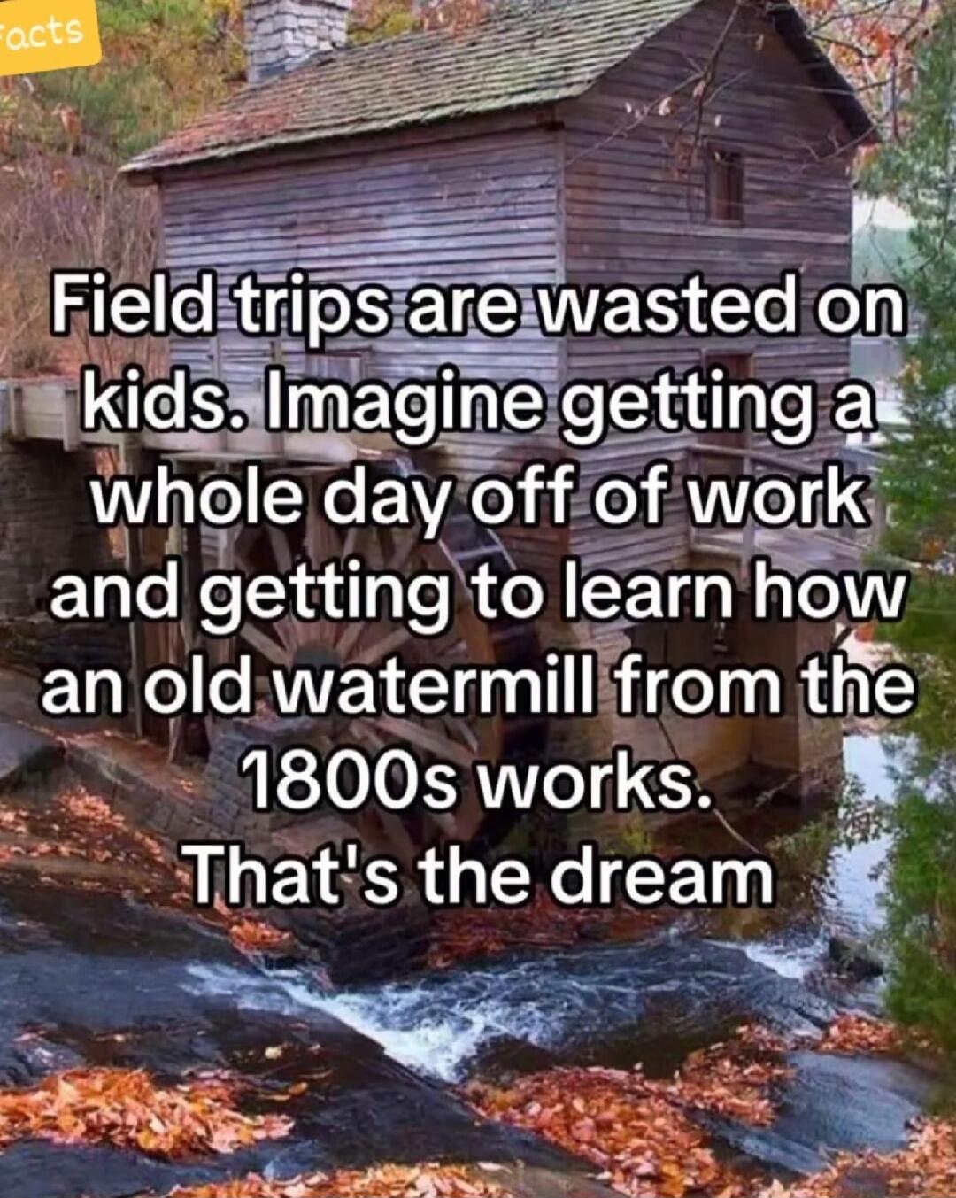 Field trips are wasted on kids. Imagine getting a whole day off of work and getting to learn how an old watermill from the 1800s works. That's the dream
