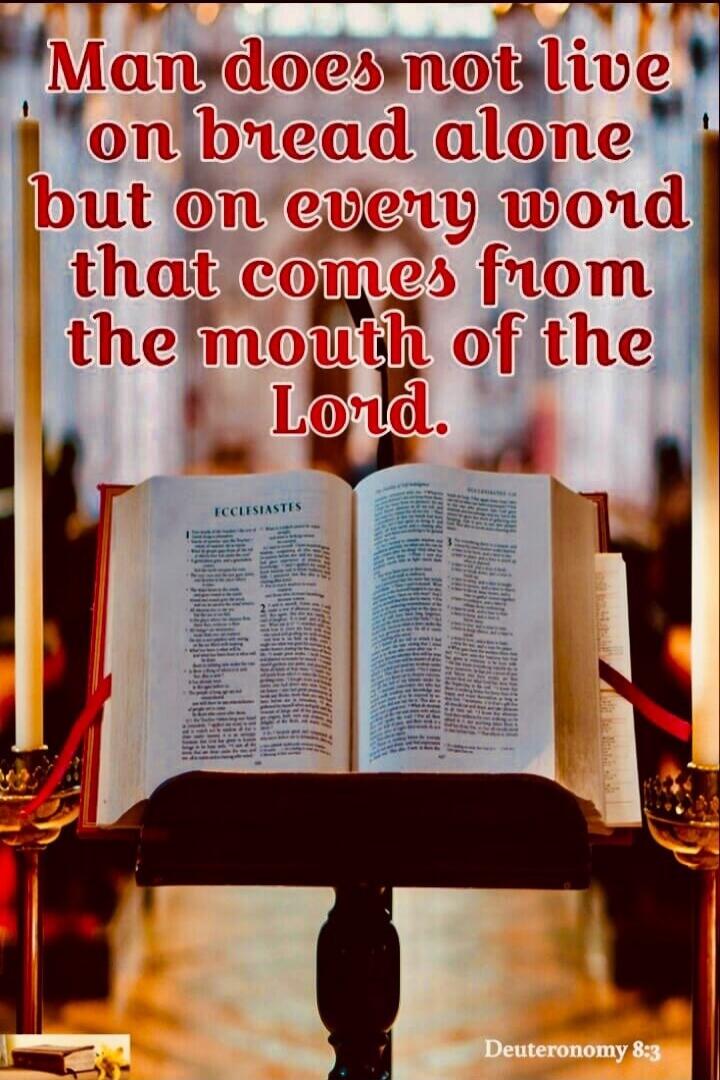 Man does not live on bread alone but on every word that comes from the mouth of the Lord. ECCLESIASTES Deuteronomy 8:3