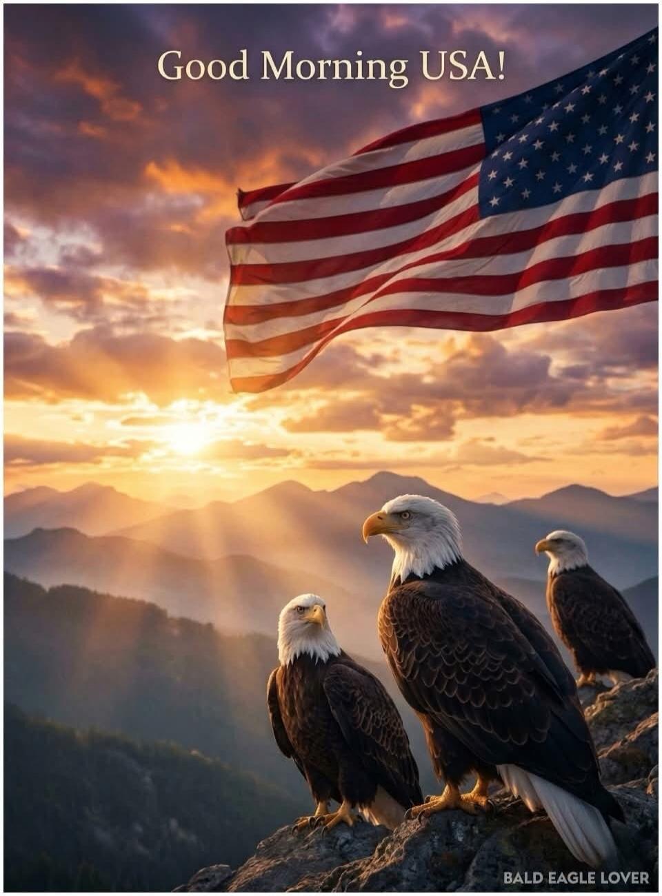 Good Morning USA! BALD EAGLE LOVER
