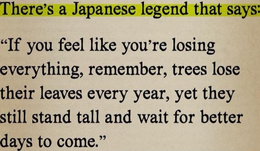If you feel like youre losing everything remember trees lose their leaves every year yet they still stand tall and wait for better days to come