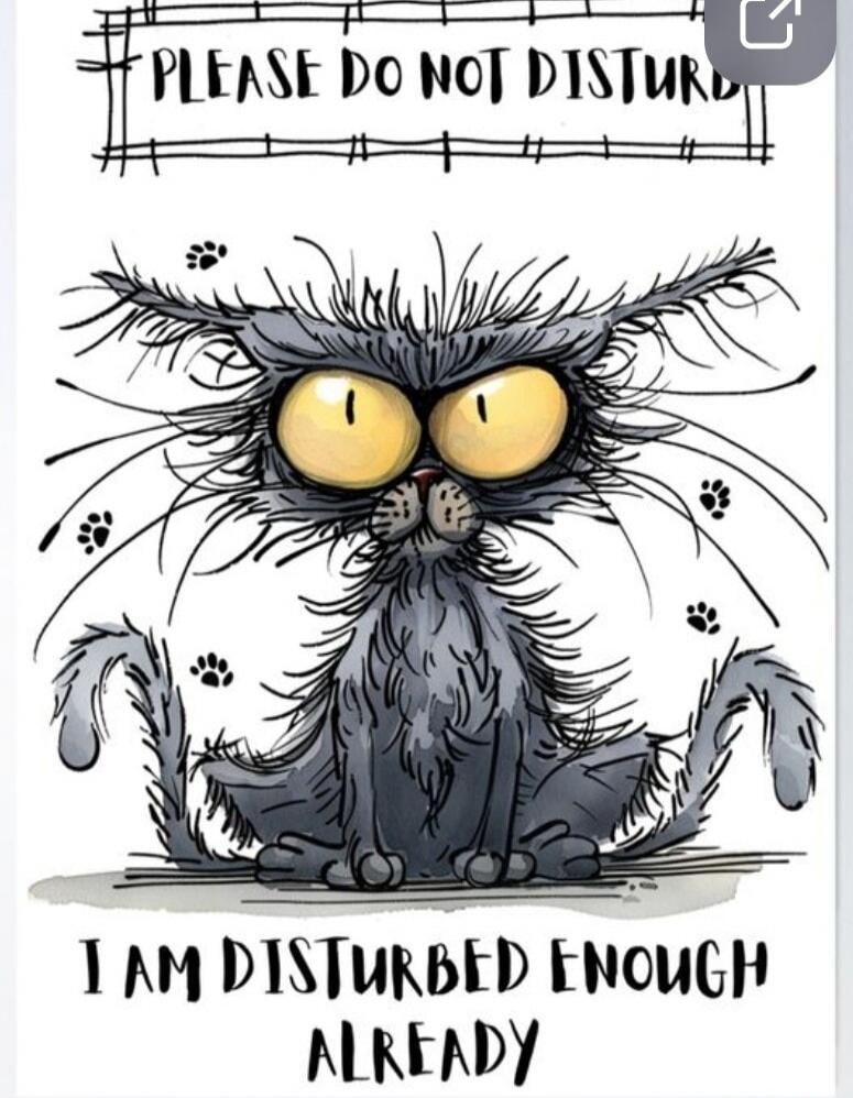 PLEASE DO NOT DISTURB I AM DISTURBED ENOUGH ALREADY