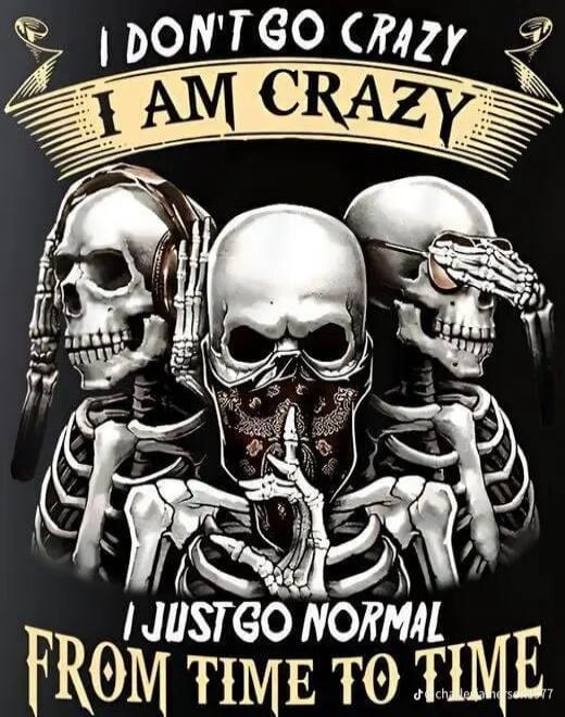 I DON'T GO CRAZY I AM CRAZY I JUST GO NORMAL FROM TIME TO TIME