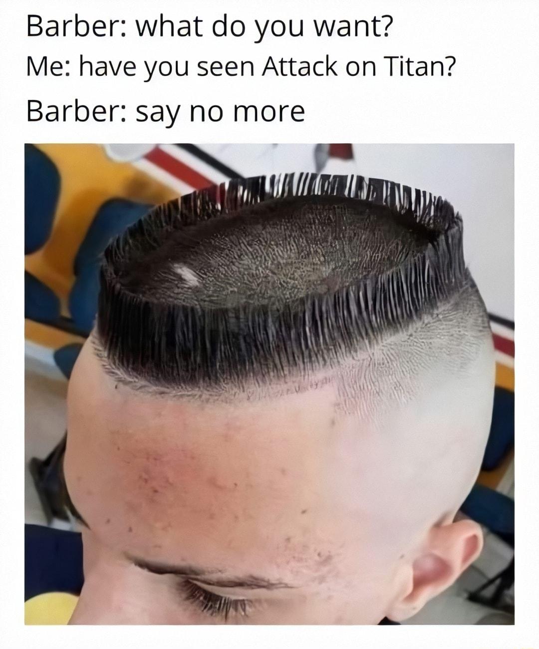 Barber what do you want Me have you seen Attack on Titan Barber say no more