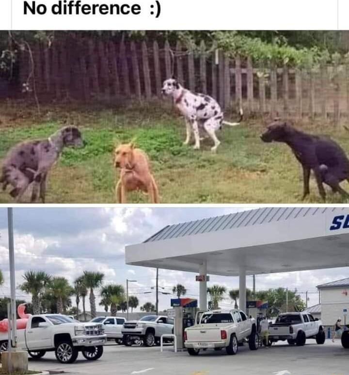 No difference