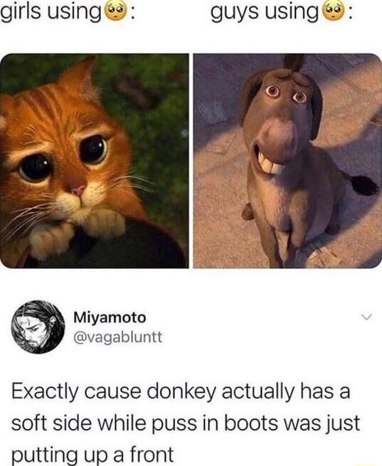 girls usings guys using y Miyamoto vagabluntt Exactly cause donkey actually has a soft side while puss in boots was just putting up a front