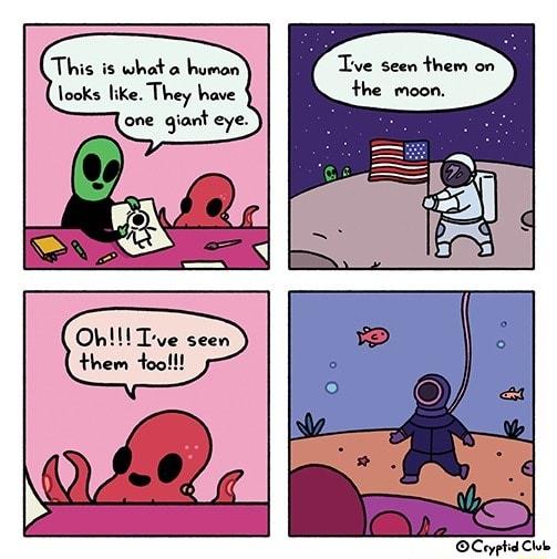 This is what a human looks like They have one giant eye Tve seen them on the moon ve seen Ceyphid Clok