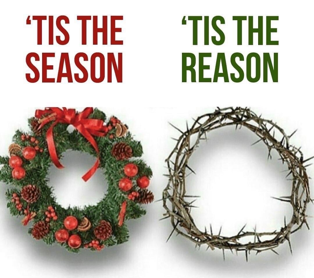 TISTHE TIS THE SEASON REASON