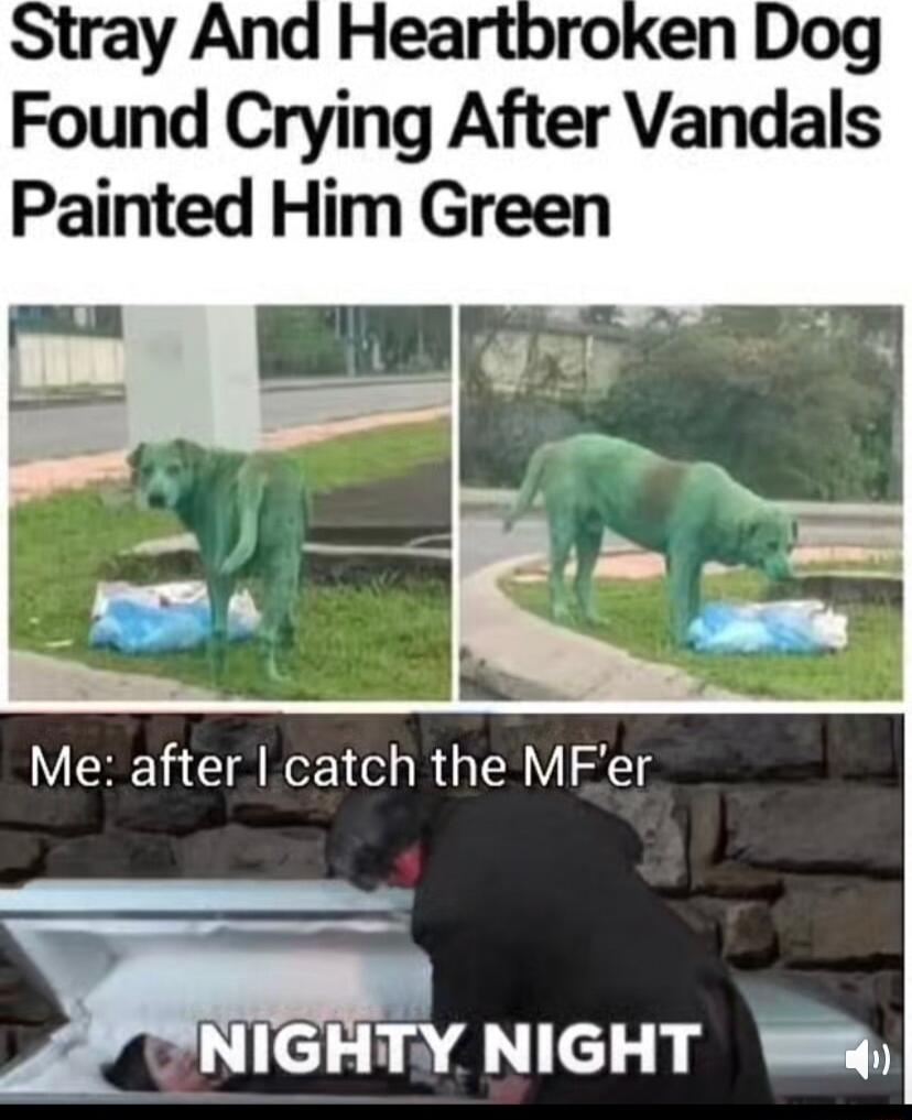 Found Crylng After Vandals Painted Him Green L Me after catch the MFer S i NIGHTY NIGHT W