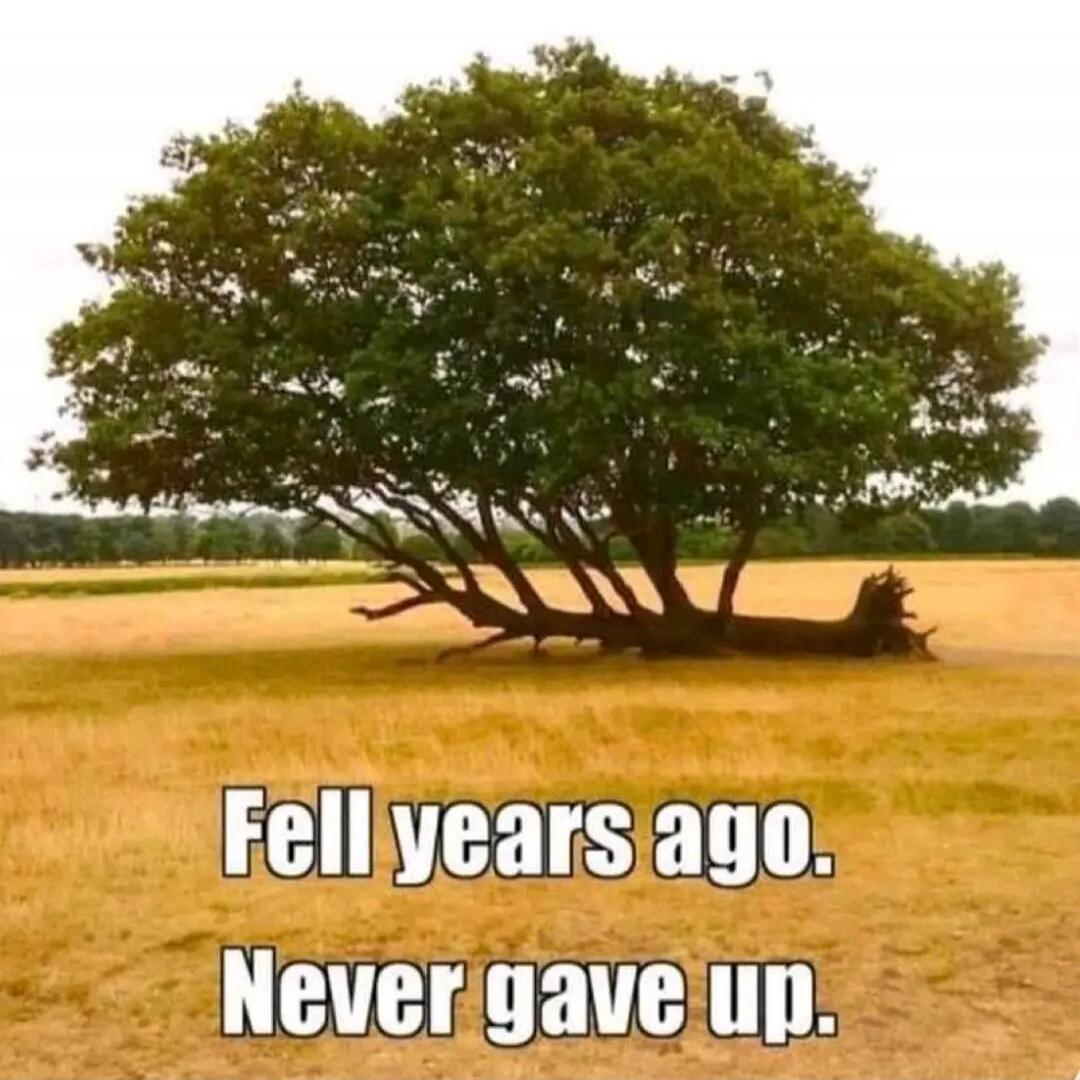 Fell years ago. Never gave up.