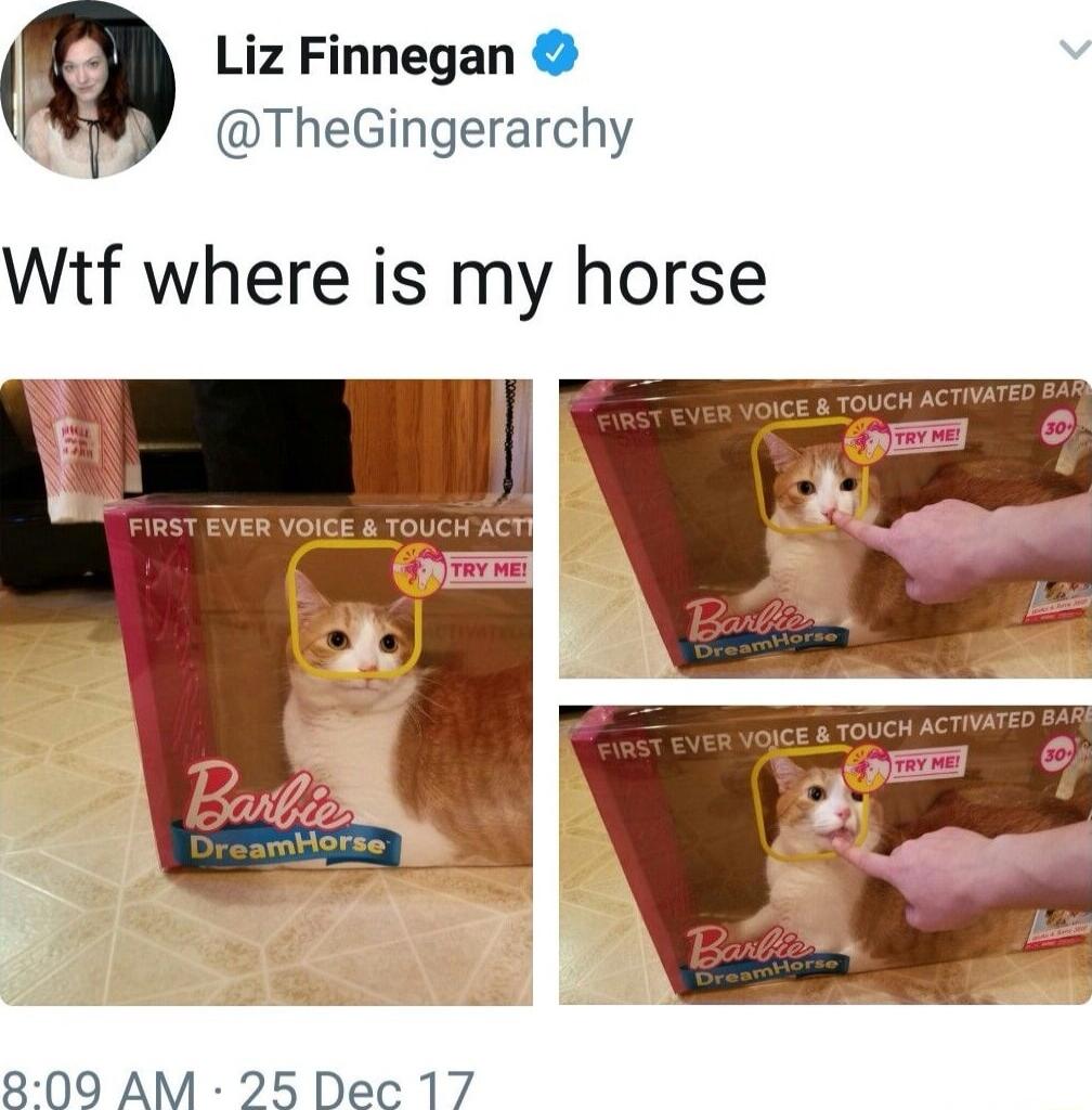 Liz Finnegan 4 TheGingerarchy Wif where is my horse 800 AM 25 Dec 17