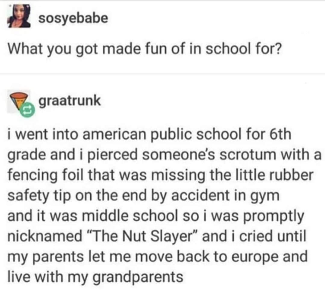 sosyebabe What you got made fun of in school for s graatrunk i went into american public school for 6th grade and i pierced someones scrotum with a fencing foil that was missing the little rubber safety tip on the end by accident in gym and it was middle school so i was promptly nicknamed The Nut Slayer and i cried until my parents let me move back to europe and live with my grandparents