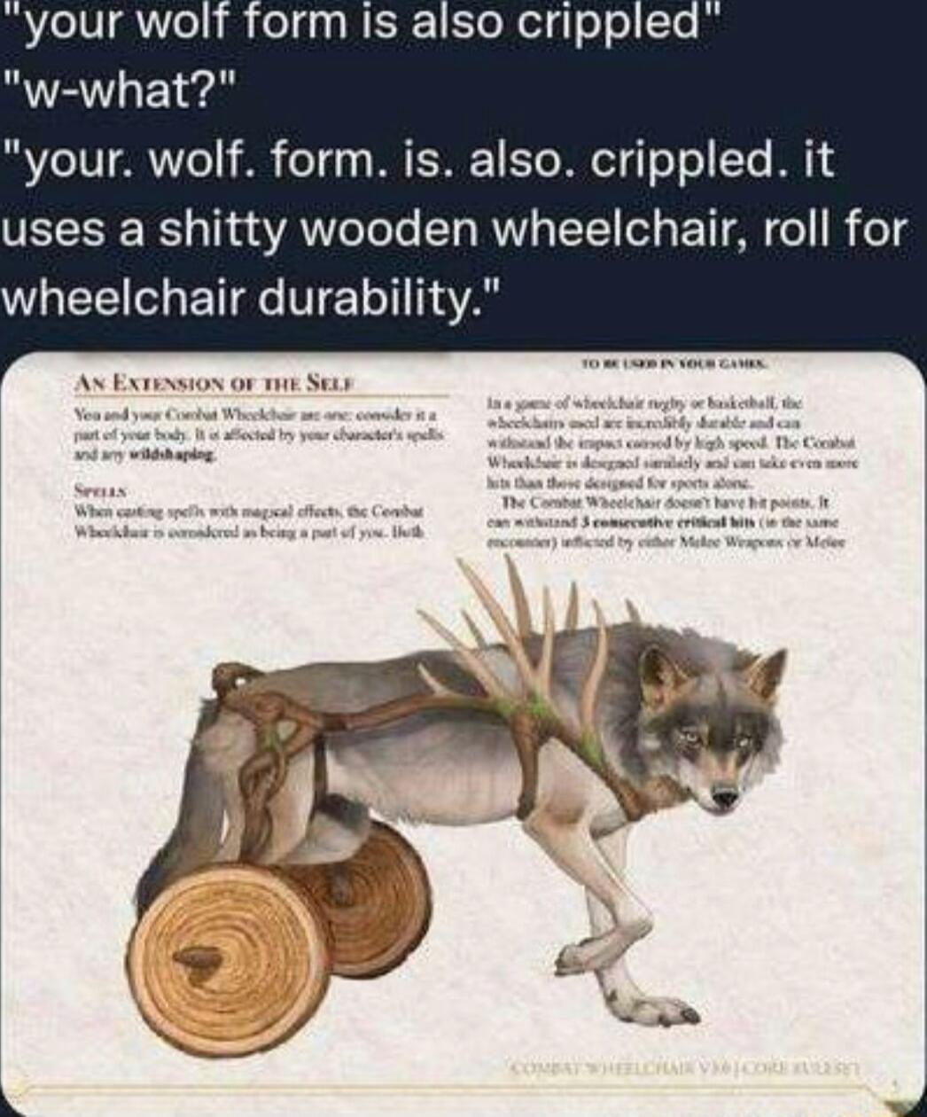 orm Is also crippled VLIV 1AR7e1 38 o W S E To Ml el o To 1 Te 1 S uses a shitty wooden wheelchair roll for WL BT Ve TeT 1A