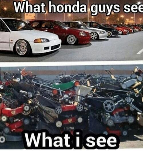 What honda guys see What i see