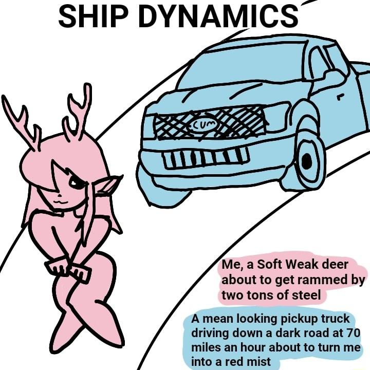 SHIP DYNAMICS Me a Soft Weak deer about to get rammed by two tons of steel A mean looking pickup truck driving down a dark road at 70 miles an hour about to turn me into a red mist