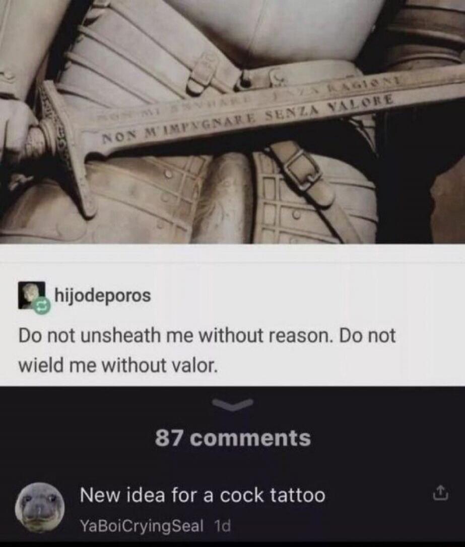 Do not unsheath me without reason. Do not wield me without valor. New idea for a cock tattoo