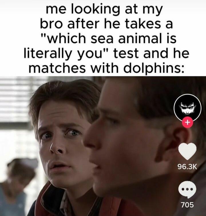 me looking at my bro after he takes a which sea animal is literally you test and he matches with dolphins