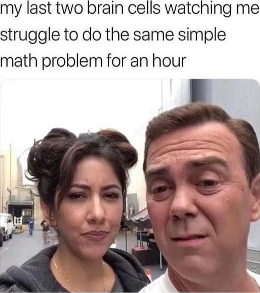 my last two brain cells watching me struggle to do the same simple math problem for an hour