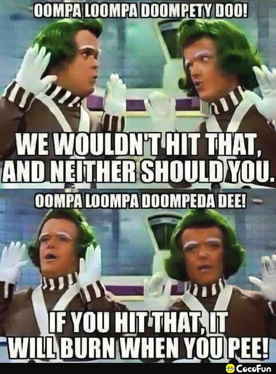 Oompa Loompa Doompety Doo! We wouldn't hit that, and neither should you. Oompa Loompa Doompeda Dee! If you hit that, it will burn when you pee!