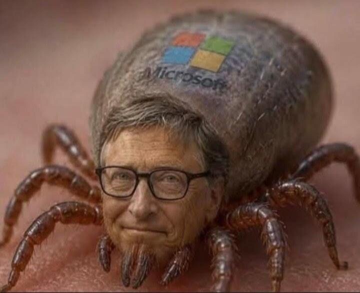 Microsoft
