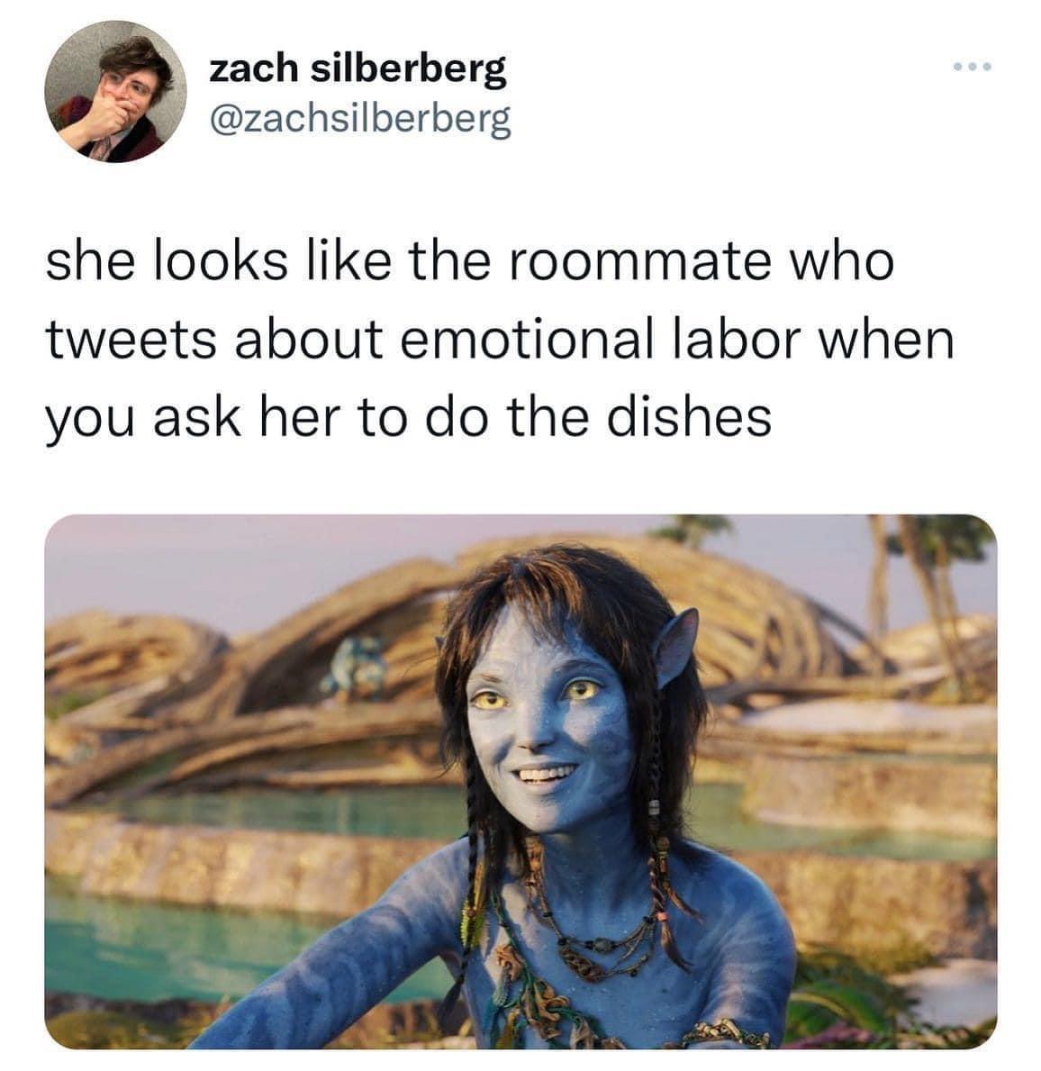 zach silberberg zachsilberberg she looks like the roommate who tweets about emotional labor when you ask her to do the dishes