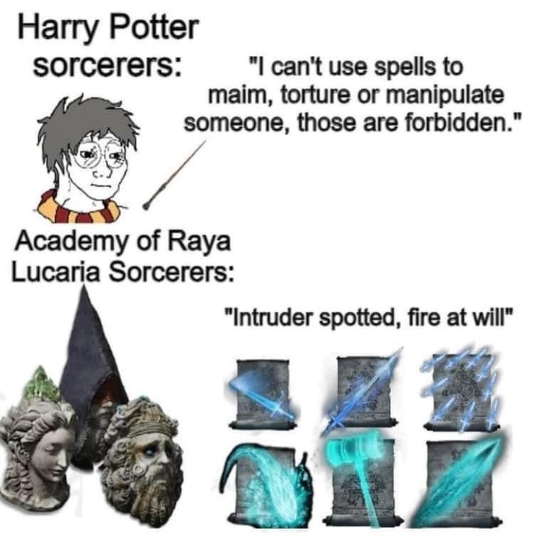Harry Potter sorcerers I cant use spells to maim torture or manipulate someone those are forbidden Academy of Raya Lucaria Sorcerers Intruder spotted fire at will I